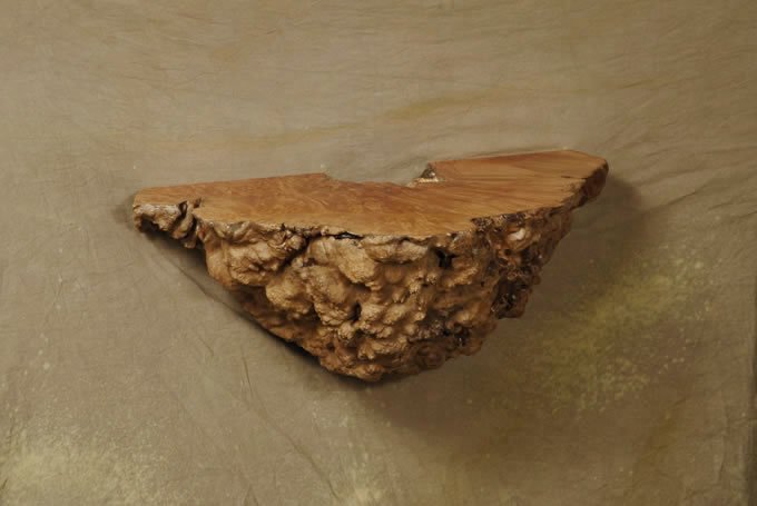 Burl Wall Hanging